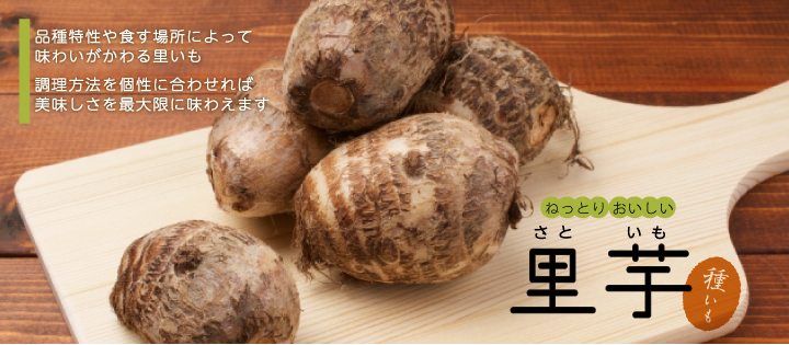 里芋