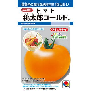 大玉トマト 種 【 桃太郎ゴールド 】