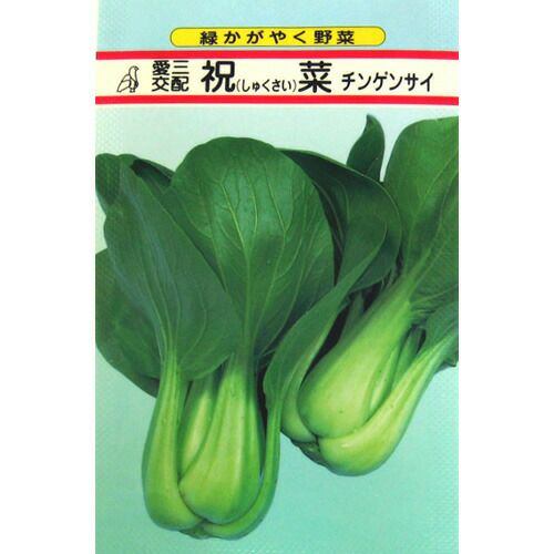 ちんげん菜 種 【 祝菜 】 種子