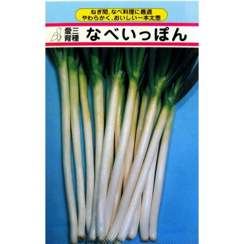 ネギ 種 【 ネギなべいっぽん 】 種子