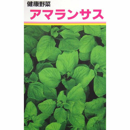 雑穀 種 【葉用アマランサス】