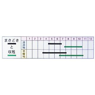 しそ 種 【赤ちりめんしそ】 小袋