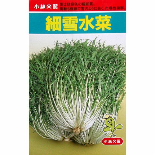 水菜 種 細雪水菜 種子 小袋 約6ml 菜園くらぶ 種と苗と園芸資材の専門店