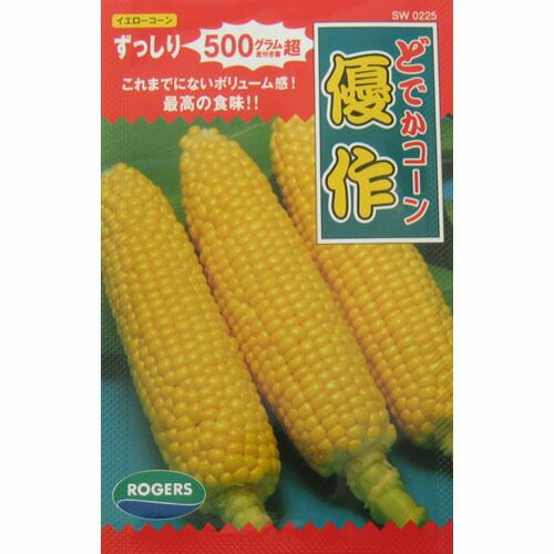 とうもろこし 種 【どでかコーン優作】 約80粒