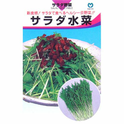 水菜 種 【 サラダ水菜 】 種子