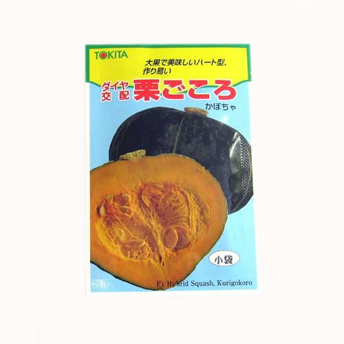 かぼちゃ 種 【栗ごころ】 10粒