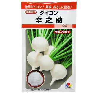 大根 種 【 辛之助 】