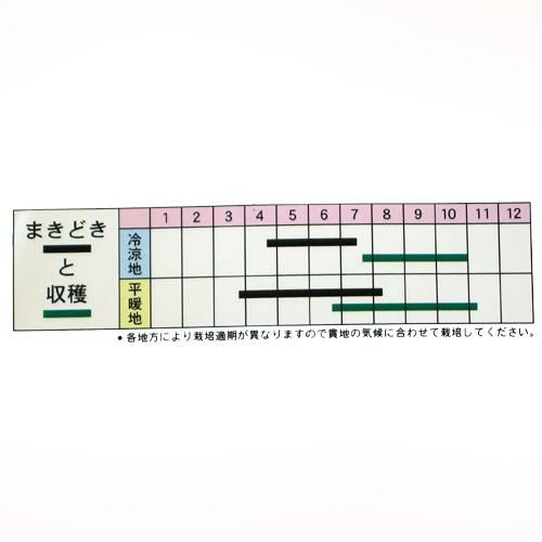 しそ 種 【 大葉シソ 】