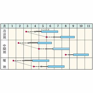 ズッキーニ 種 【 オーラムEX 】 小袋 GF 