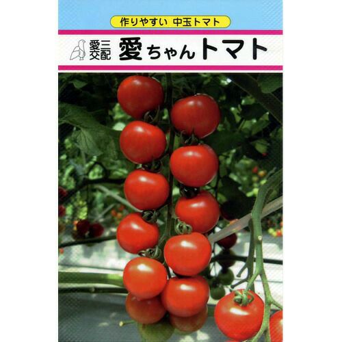 ミニトマト 種 【愛ちゃん】 約14粒