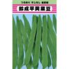 いんげん 種 【すじなし鈴成平莢菜豆】 1L