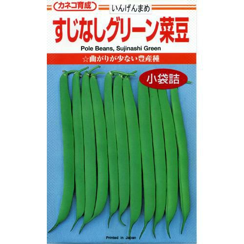 つるなしいんげん 種 【すじなしグリーン】 1dl