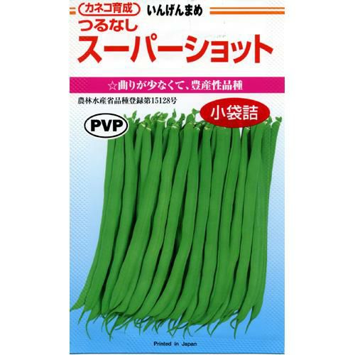 つるなしいんげん 種 【スーパーショット】 50粒