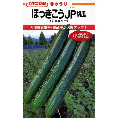 きゅうり 種 【ほっきこうJP】 20粒