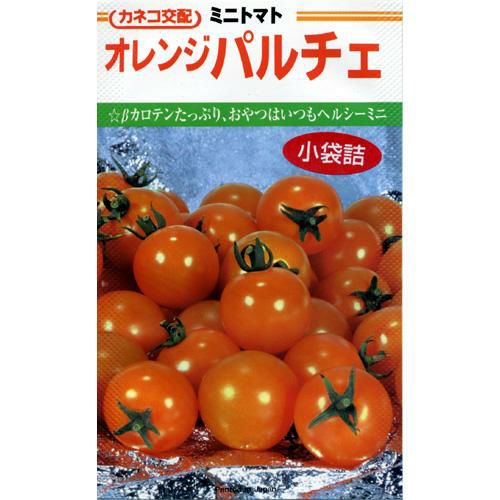 ミニトマト 種 【オレンジパルチェ】 19粒