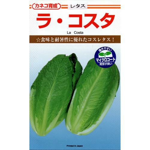 レタス 種 【 レタスラ・コスタ 】 種子 コート５千粒