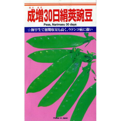 エンドウ 種 【成増３０日絹莢】 1L