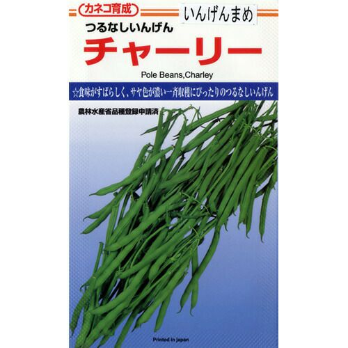 つるなしいんげん 種 【チャーリー】 200粒