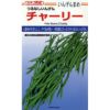 つるなしいんげん 種 【チャーリー】 200粒