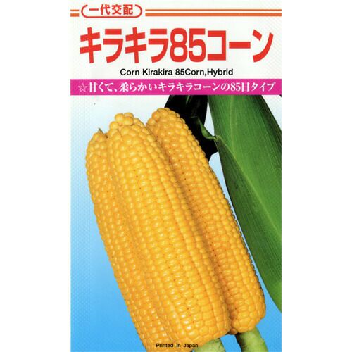 とうもろこし 種 【キラキラ８５コーン】 200粒