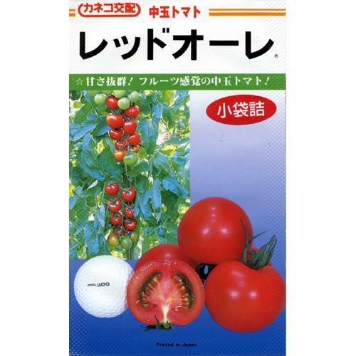 中玉トマト 種 【レッドオーレ】 100粒