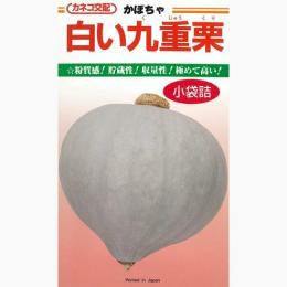 かぼちゃ 種 【白い九重栗】 100粒