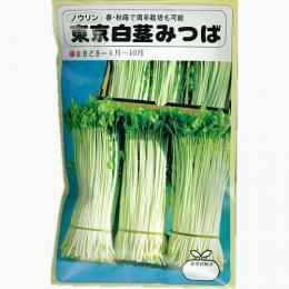 三つ葉 種 【 東京白茎みつば 】 種子 1L