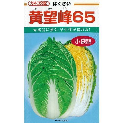 白菜 種 【 黄望峰６５ 】 種子 ２０ｍｌ