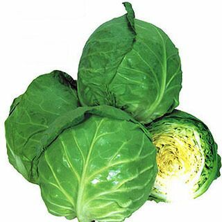キャベツ 種 【 爽月 】 種子 ２０ｍｌ