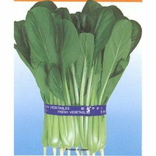 小松菜 種 【 すてきだ菜 】 種子