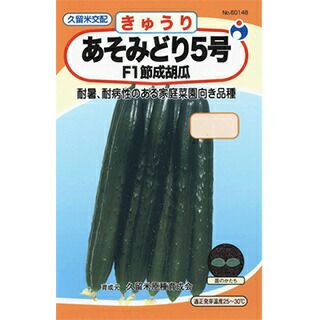 きゅうり 種 【あそみどり5号】 350粒