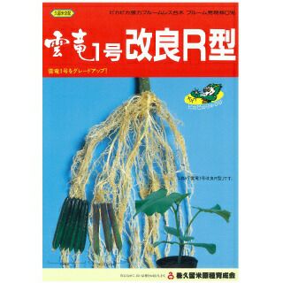 雲竜1号改良R型 (キュウリ用台木の種) 350粒