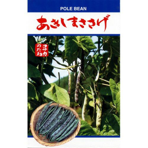 ささげ 種 【 あきしまささげ 】 種子