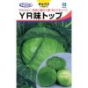 キャベツ 種 【 YR味トップ 】 種子