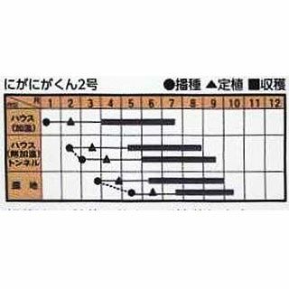  ゴーヤ 種 【にがにがくん2号】 100粒