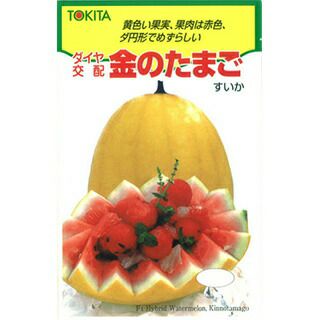 にんじん 種 【金のたまご】 100粒