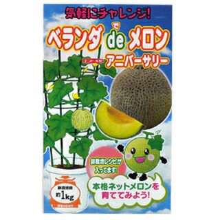 メロン 種 【 アニバーサリー 】