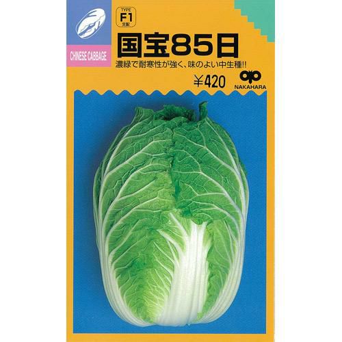 白菜 種 【 国宝８５ 】 種子