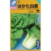 白菜 種 【 はかた白菜 】 種子 2dl