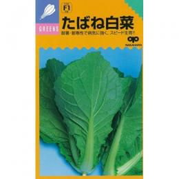 白菜 種 【 たばね白菜 】 種子 2dl