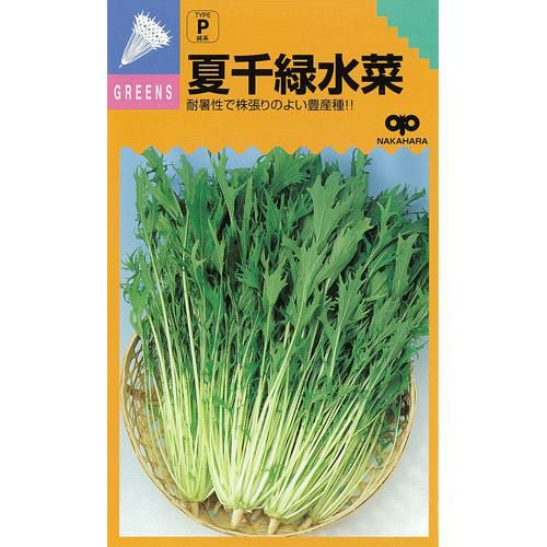 水菜 種 【 夏千緑水菜 】 種子