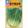 水菜 種 【 夏千緑水菜 】 種子 ５千粒コートＬ