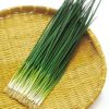 ネギ 種 【 夏彦 】 種子