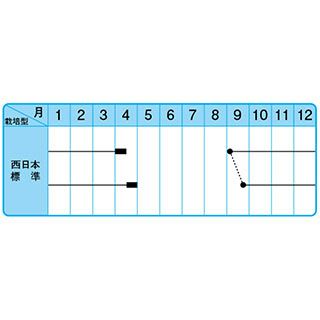 たまねぎ 種 【こはく】 100ｇ
