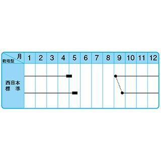 たまねぎ 種 【こはく2号】 小袋