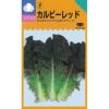 【 カルビーレッド 】 種子 ５千粒コートＬ