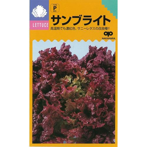 サニーレタス 種 【 サンブライト 】 種子 ５千粒コートＬ