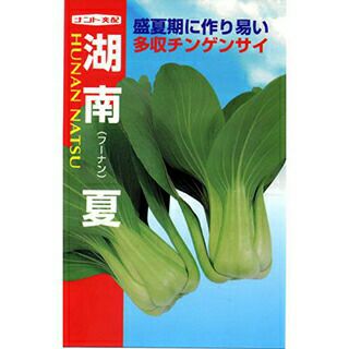 ちんげん菜 種 【 湖南 】 種子