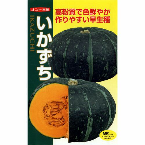 かぼちゃ 種 【いかずち】 8粒