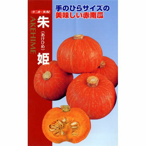 かぼちゃ 種 【朱姫 (あけひめ)】 7粒